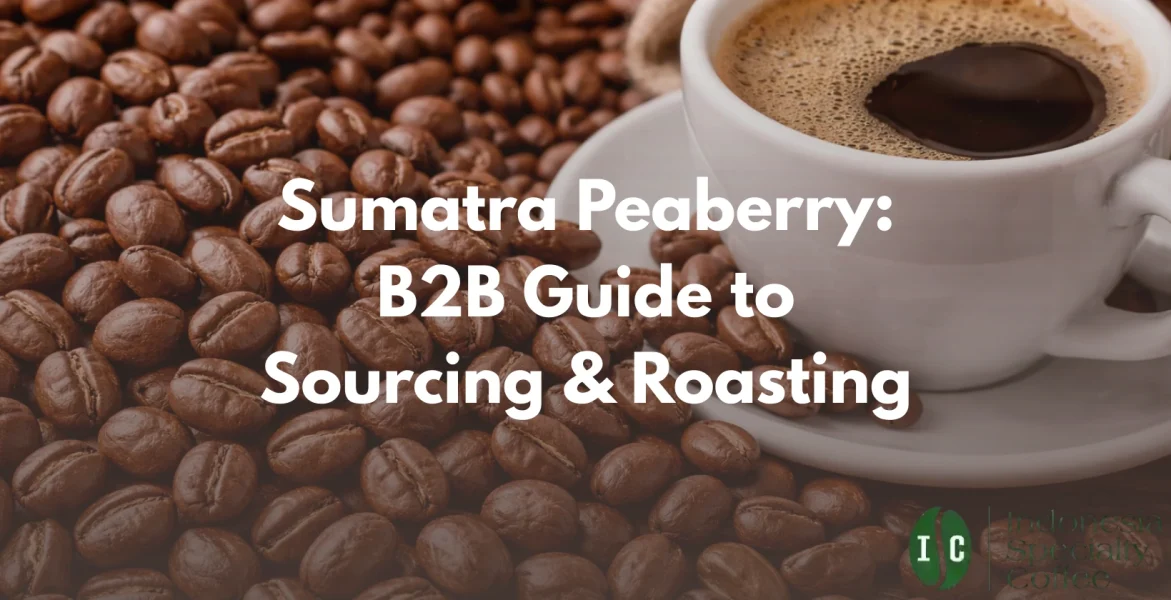sumatra peaberry
