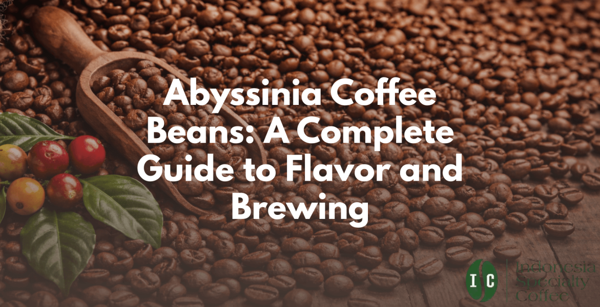 abyssinia coffee beans