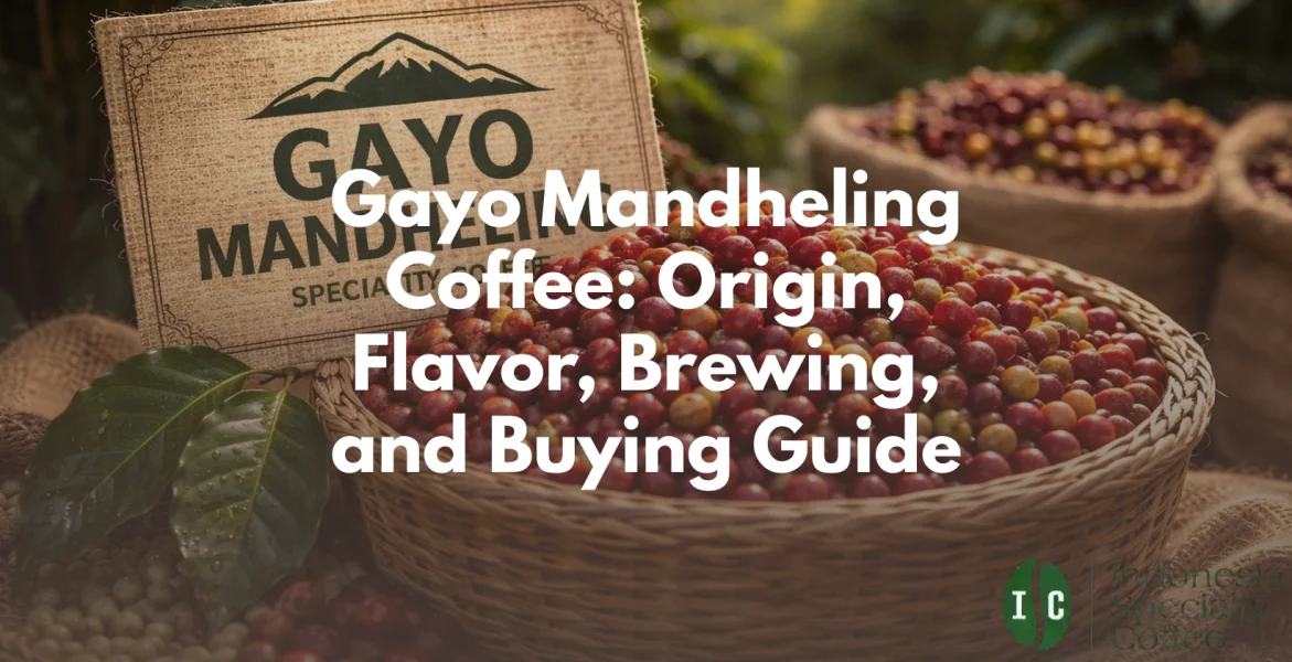 gayo mandheling coffee