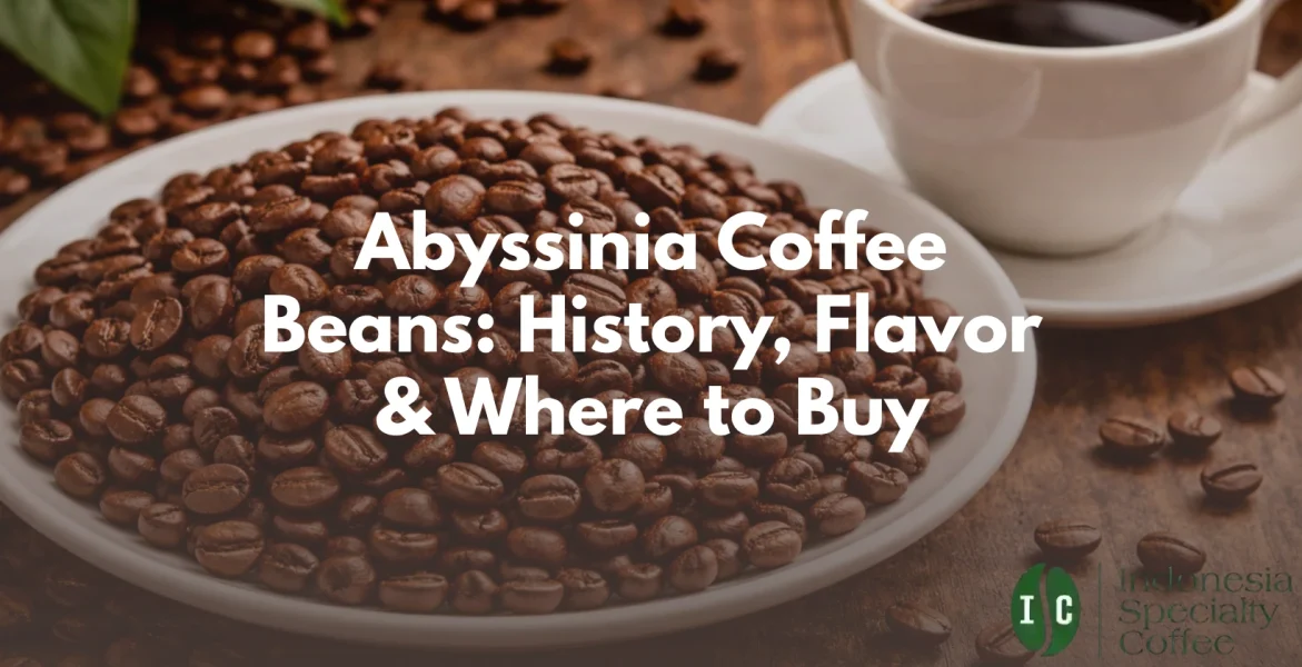 abyssinia coffee beans