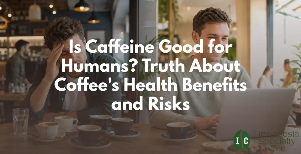 Is Caffeine Good for Humans