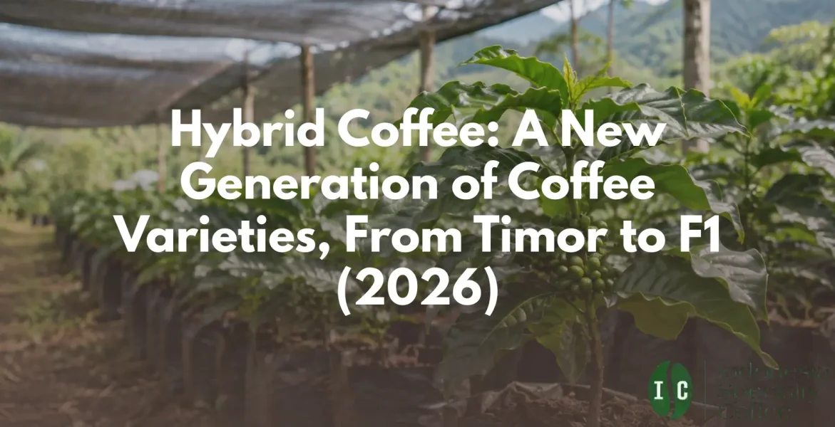 hybrid coffee