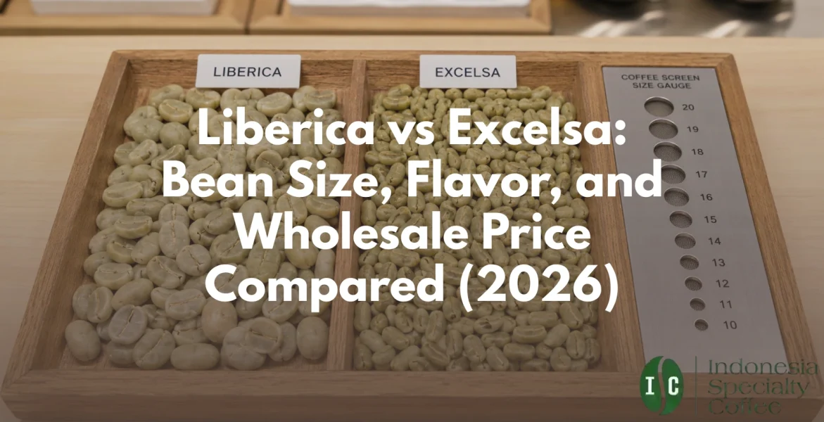 liberica vs excelsa
