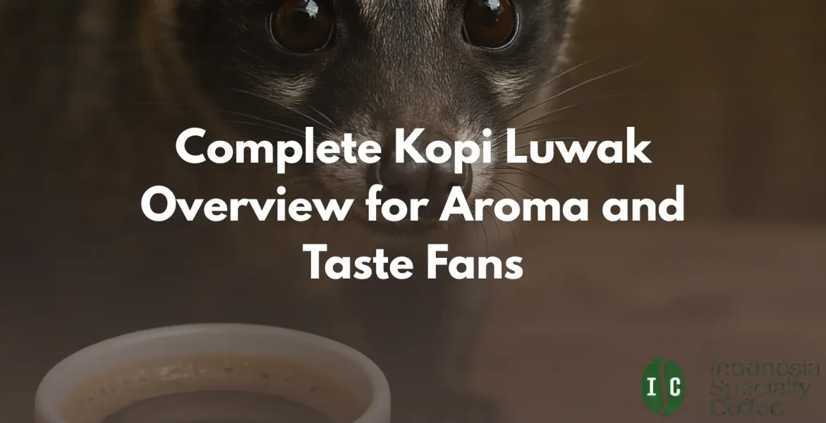 kopi luwak