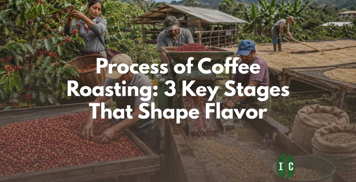 process of coffee roasting