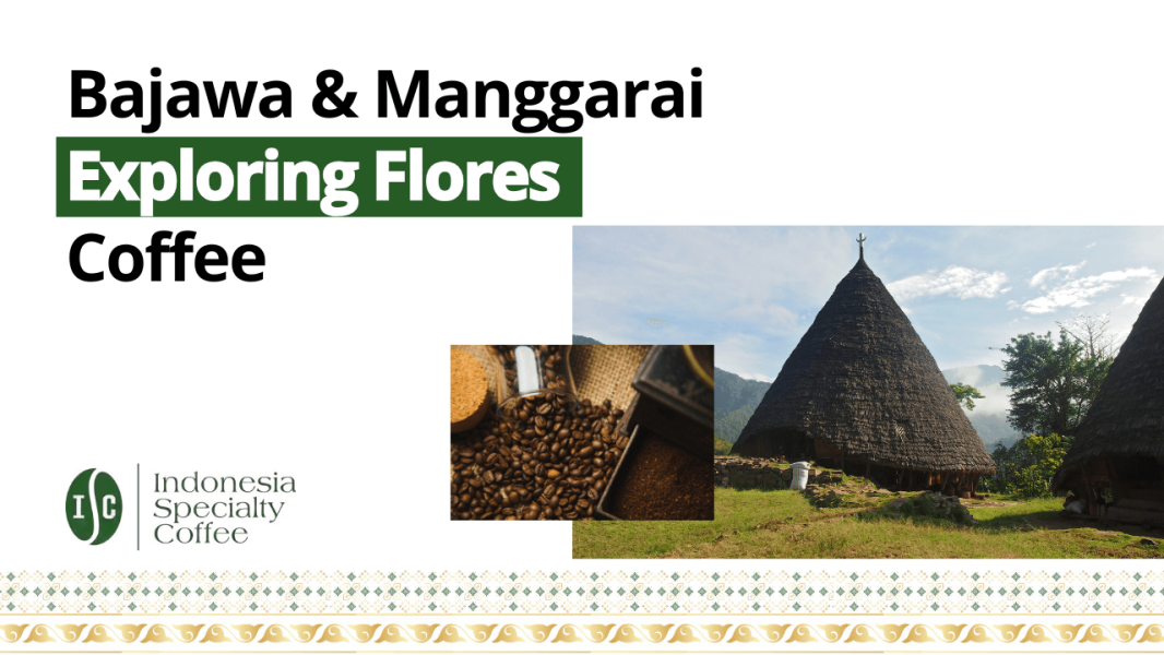 Flores Bajawa & Manggarai Exploring Flores Coffee