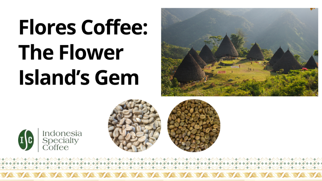 Flores Coffee The Flower Island’s Gem