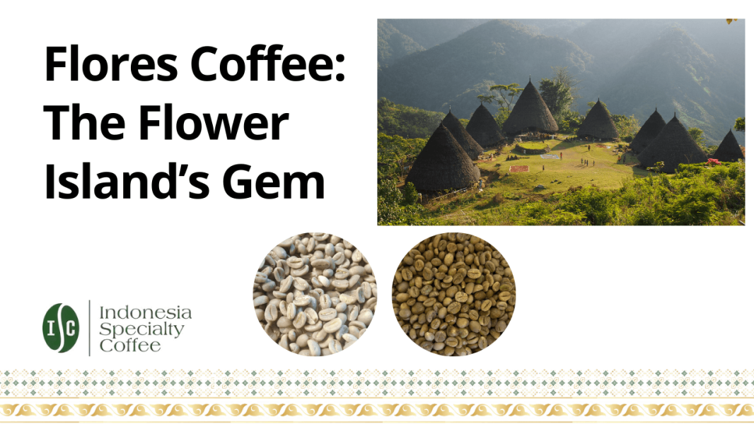 Flores Coffee The Flower Island’s Gem