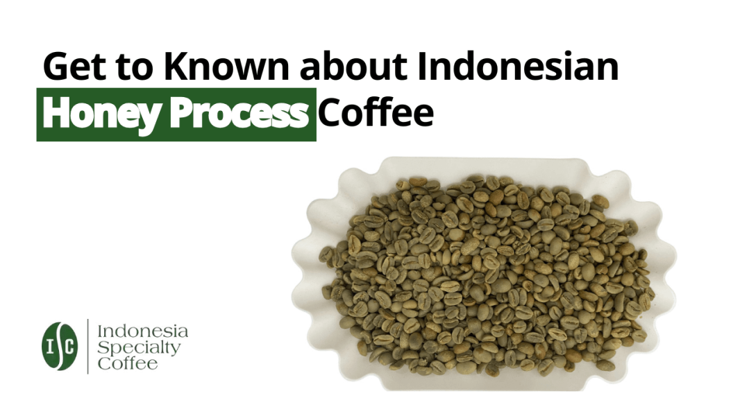 Get to Known about Indonesian Honey Process Coffee