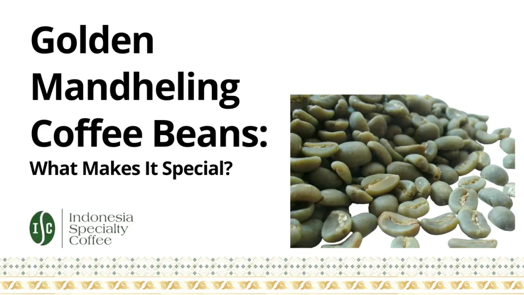 Golden Mandheling Coffee Beans What Makes It Special