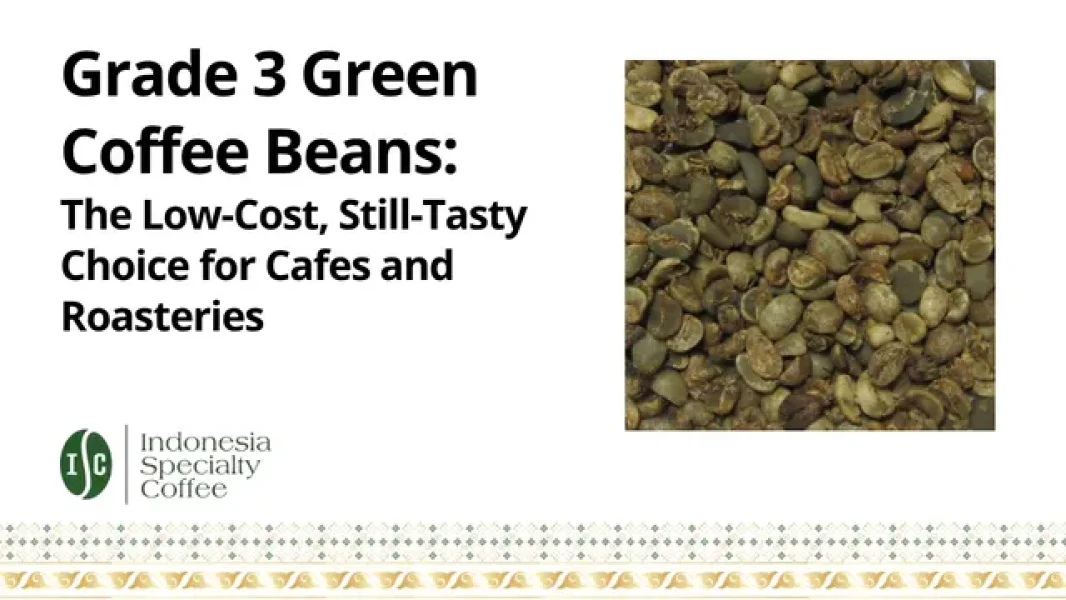 Grade 3 Green Coffee Beans The Low-Cost, Still-Tasty Choice for Cafes and Roasteries