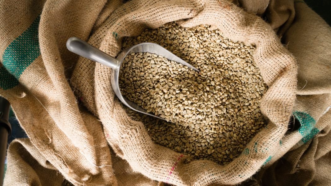 choosing a green coffee bean distributor