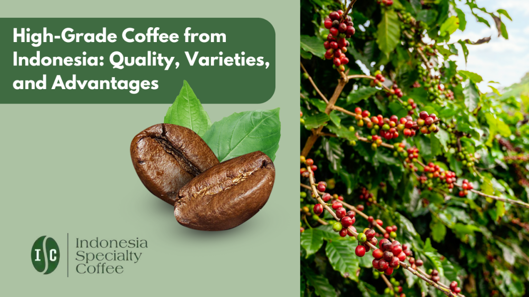 High-Grade Coffee from Indonesia Quality, Varieties, and Advantages