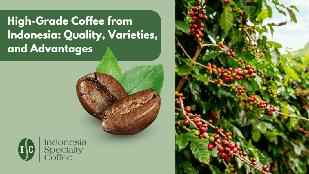 High-Grade Coffee from Indonesia Quality, Varieties, and Advantages