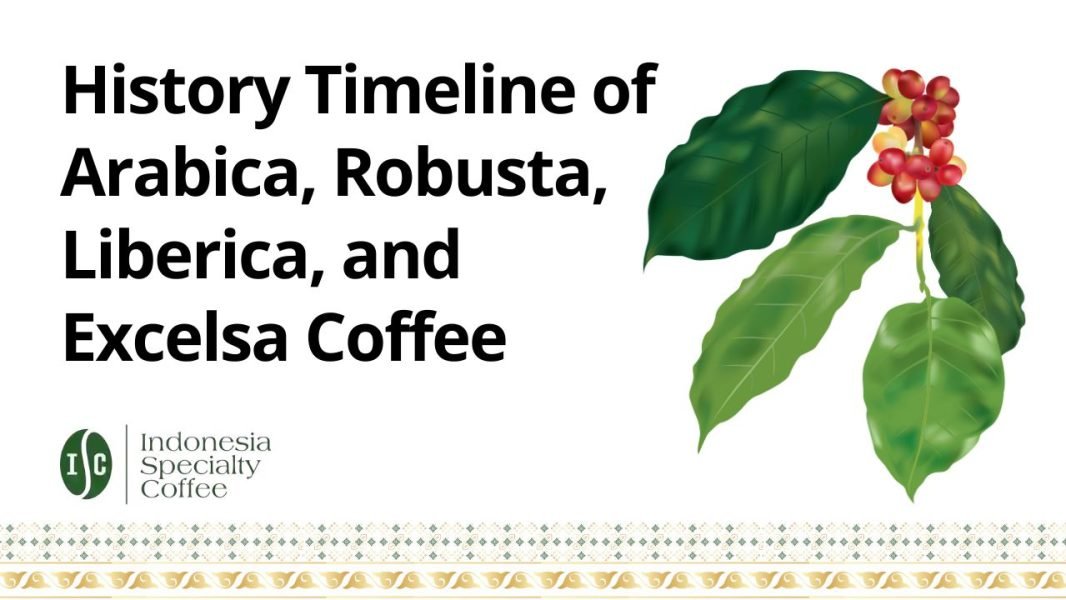 History Timeline of Arabica, Robusta, Liberica, and Excelsa Coffee