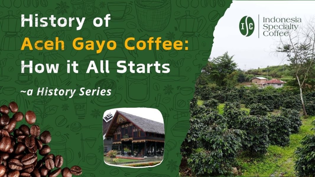 History of Aceh Gayo Coffee How it All Starts