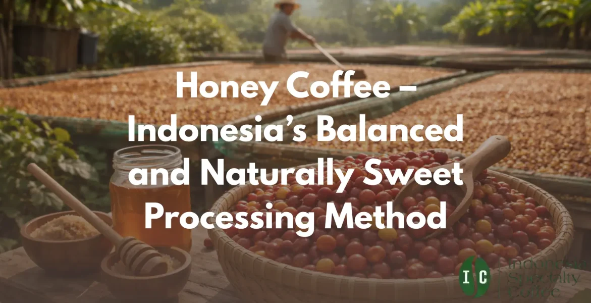Honey Coffee – Indonesia’s Balanced and Naturally Sweet Processing Method