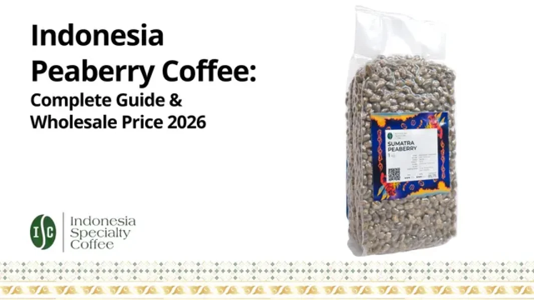 Indonesia Peaberry Coffee Complete Guide & Wholesale Price 2026