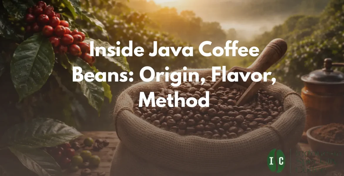 Java Coffee Beans ISC
