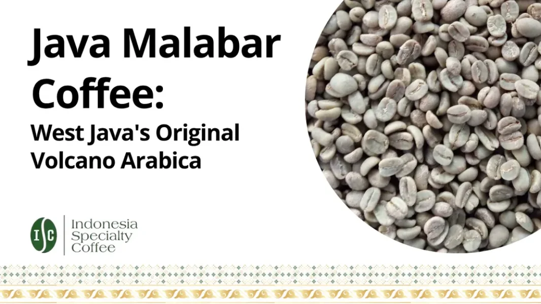 Java Malabar Coffee West Java Original Volcano Arabica