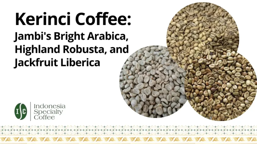 Kerinci Coffee Jambis Bright Arabica Highland Robusta and Jackfruit Liberica