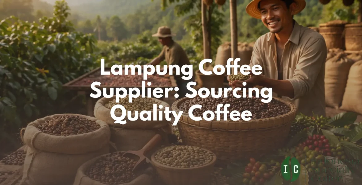 Lampung Coffee Supplier Sourcing Quality Coffee