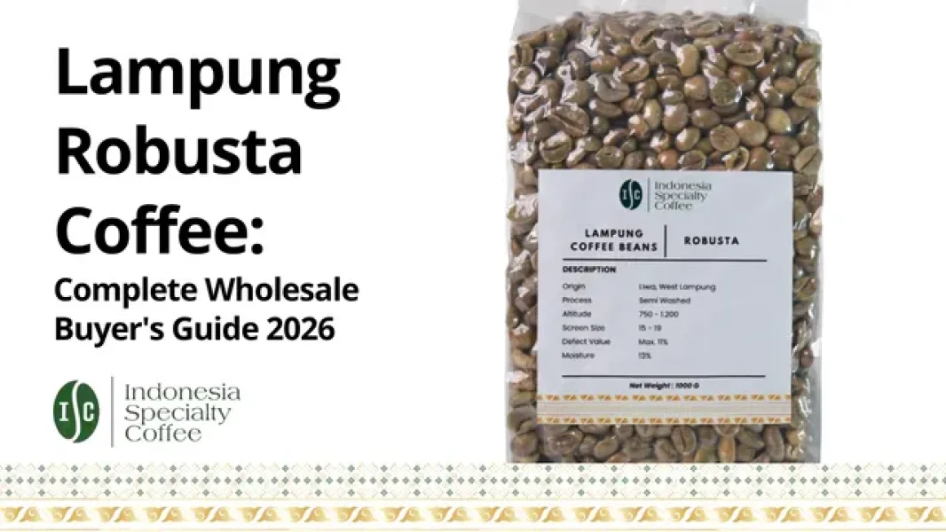 Lampung Robusta Coffee Complete Wholesale Buyer's Guide 2026