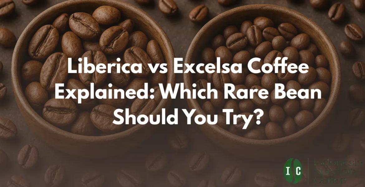 Comparison of Liberica vs Excelsa coffee beans, highlighting their unique flavors and characteristics for coffee enthusiasts.