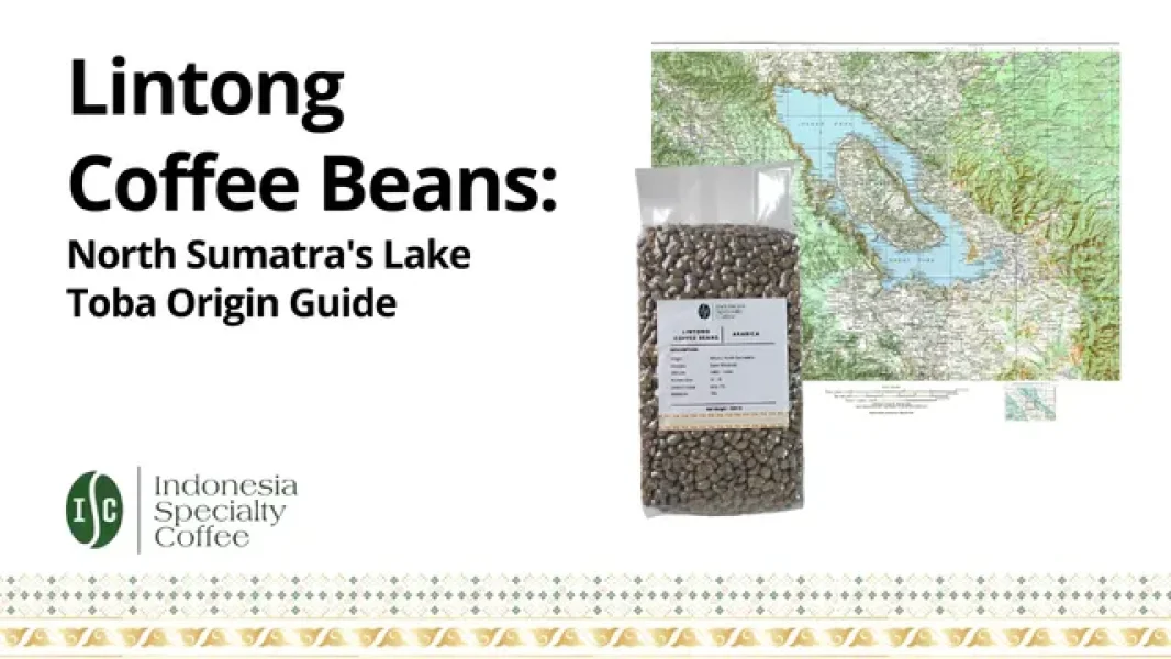 Lintong Coffee Beans North Sumatra's Lake Toba Origin Guide