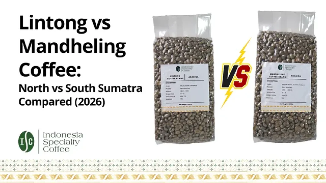 Lintong vs Mandheling Coffee North vs South Sumatra Compared (2026)