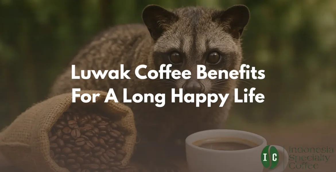 Luwak Coffee benefits Luwak Coffee benefits