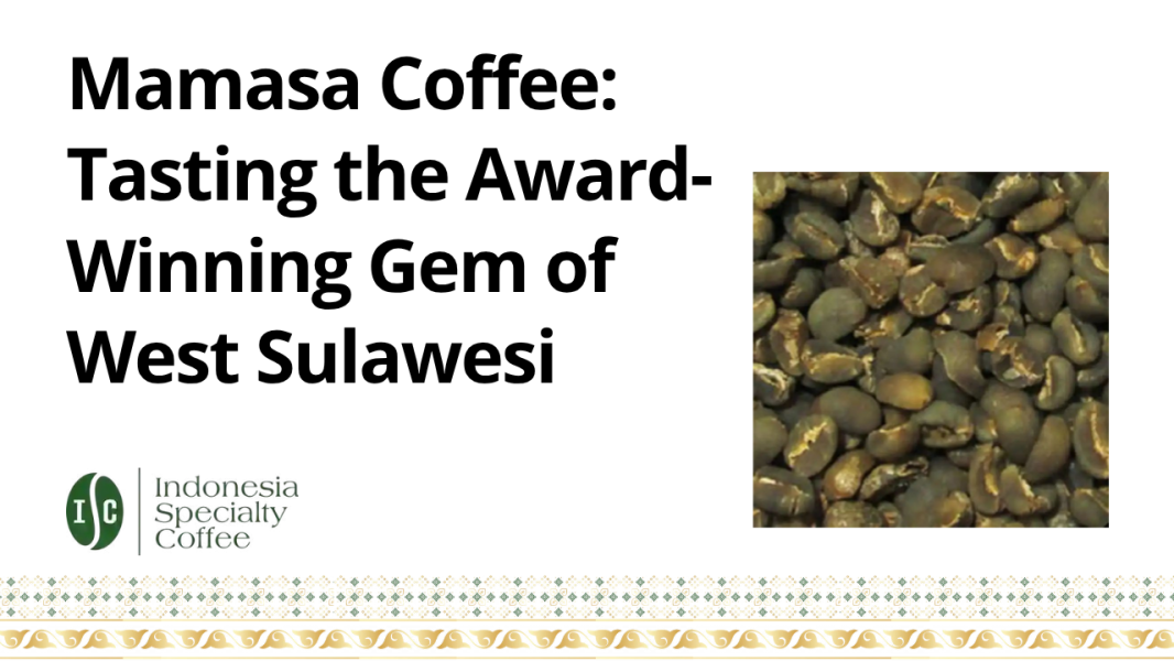 Mamasa Coffee Tasting the Award-Winning Gem of West Sulawesi