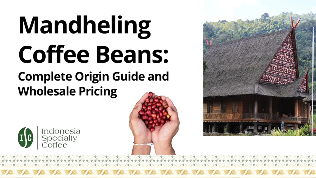 Mandheling Coffee Beans Complete Origin Guide and Wholesale Pricing
