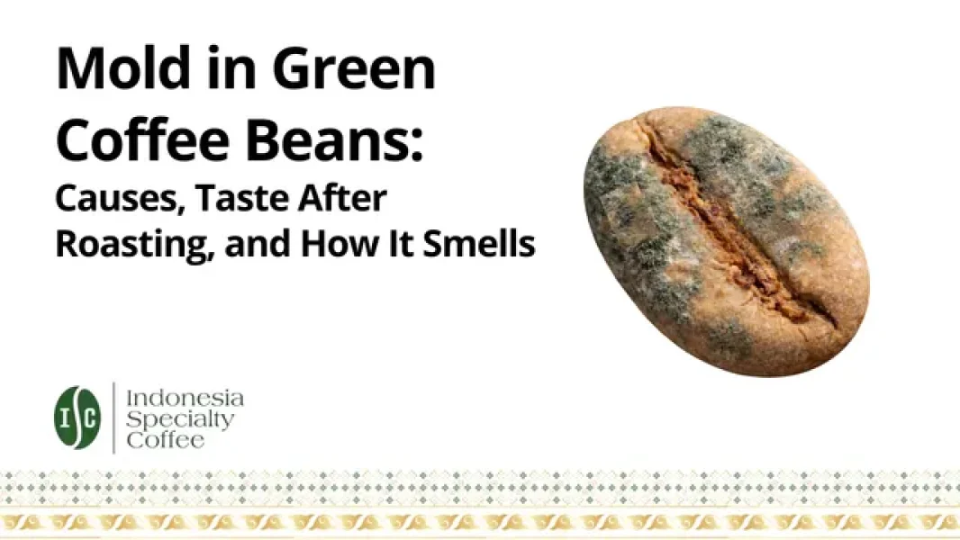 Mold in Green Coffee Beans Causes, Taste After Roasting, and How It Smells