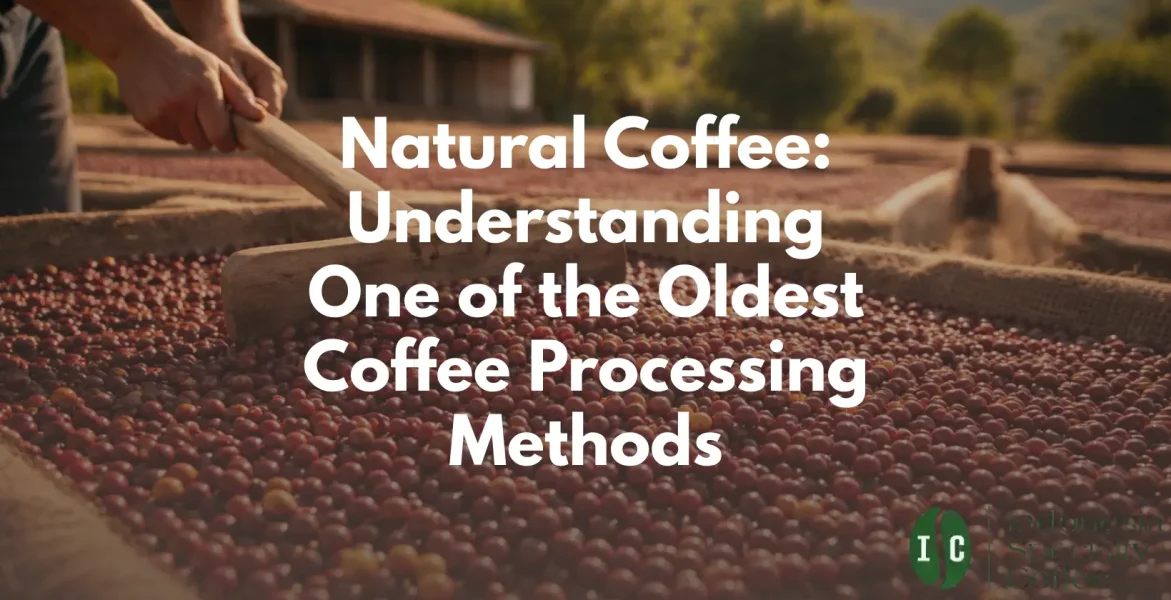Natural Coffee Understanding One of the Oldest Coffee Processing Methods