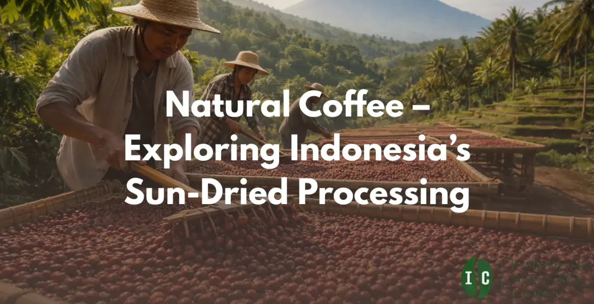 Natural Coffee – Exploring Indonesia’s Sun-Dried Processing