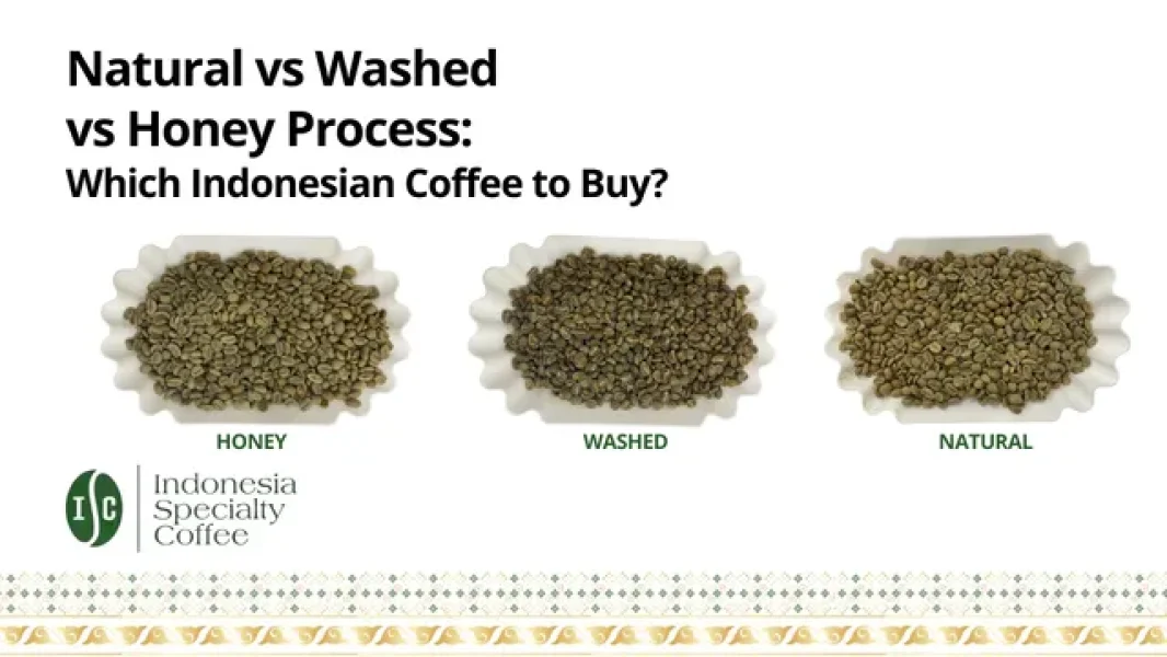 Natural vs Washed vs Honey Process Which Indonesian Coffee to Buy