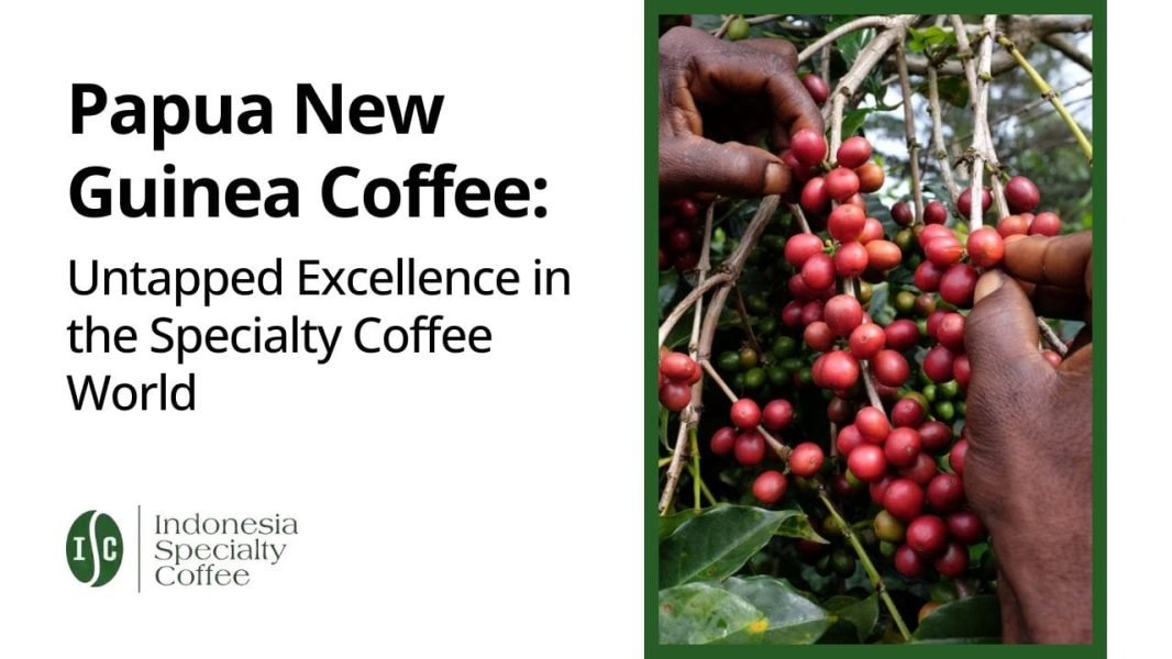 Papua New Guinea Coffee Untapped Excellence in the Specialty Coffee World
