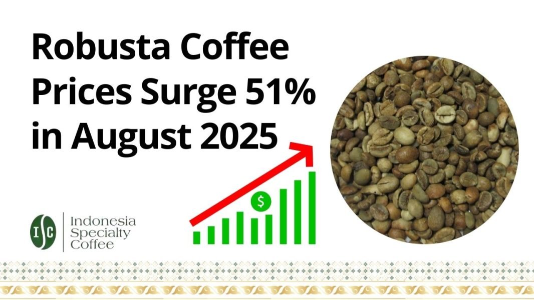 Robusta Coffee Prices Surge 51% in August 2025