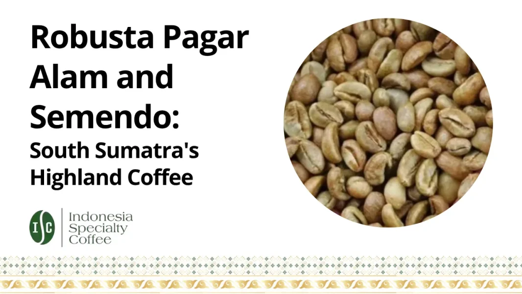 Robusta Pagar Alam and Semendo South Sumatra Highland Coffee