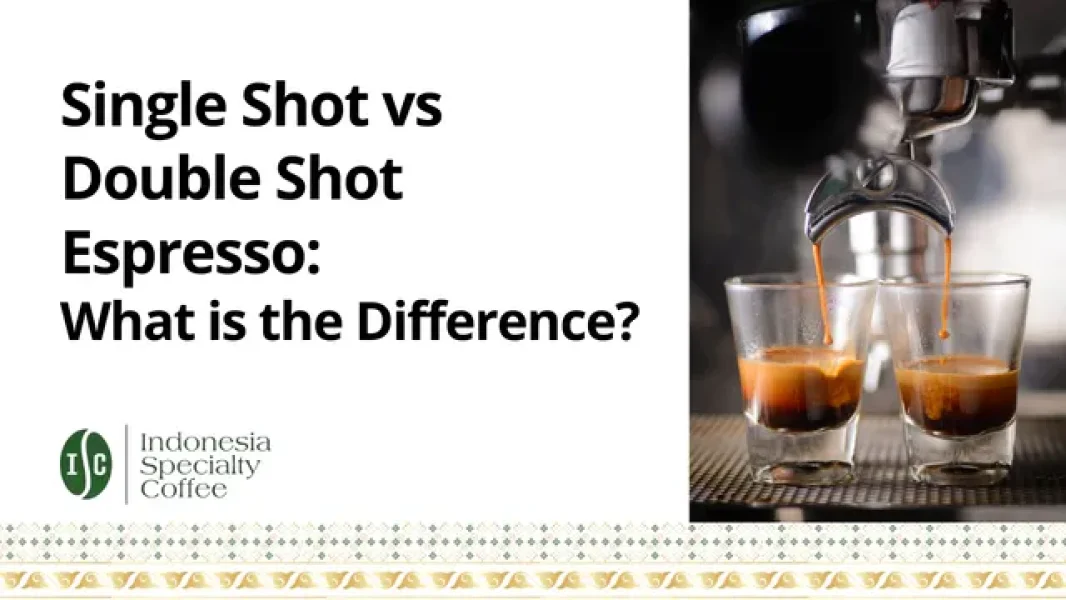 Single Shot vs Double Shot Espresso: What is the Difference?