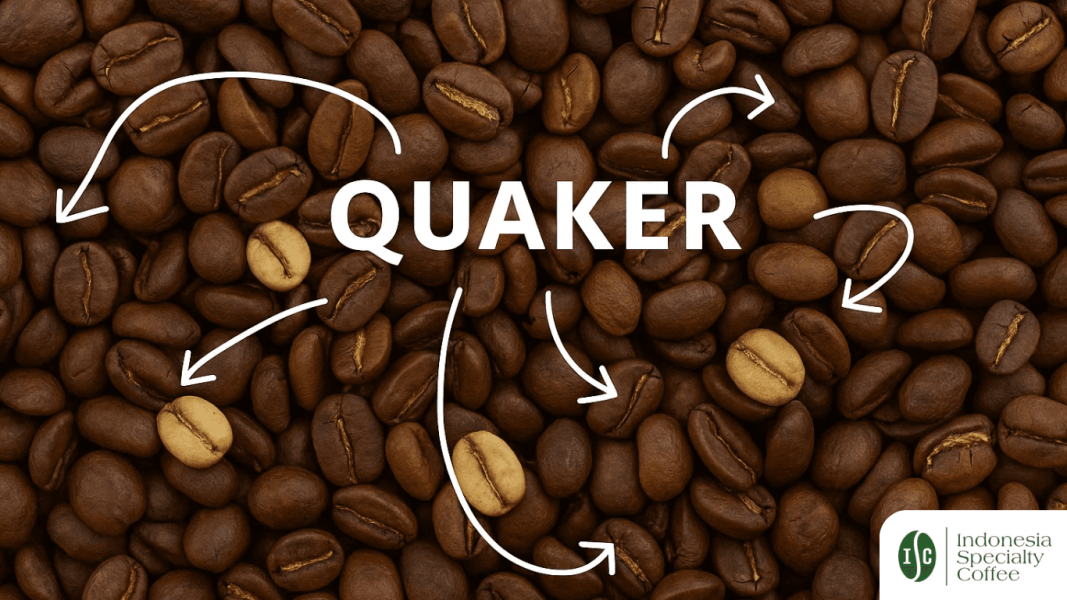 Quakers in Coffee: The Pale Beans That Sabotage Your Roast (And How to Spot Them Fast)