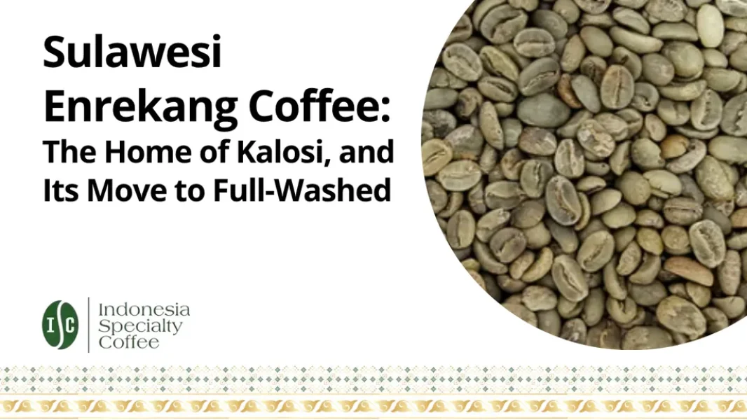 Sulawesi Enrekang Coffee The Home of Kalosi, and Its Move to Full-Washed