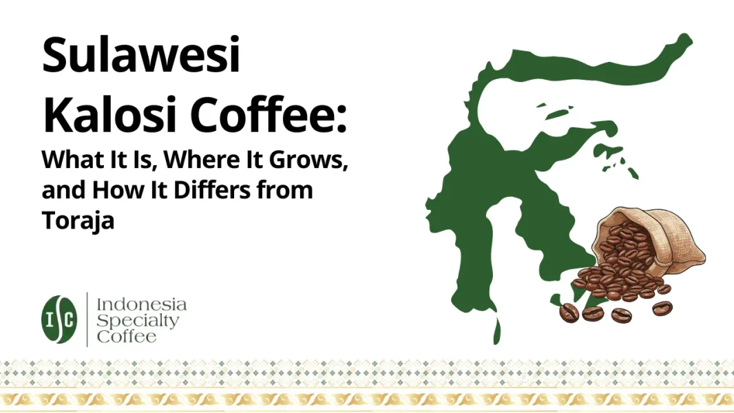Sulawesi Kalosi Coffee What It Is, Where It Grows, and How It Differs from Toraja