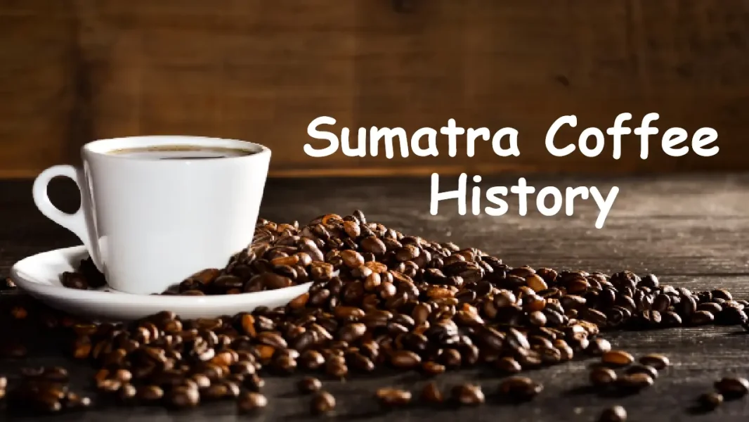 Sumatra coffee history image articel