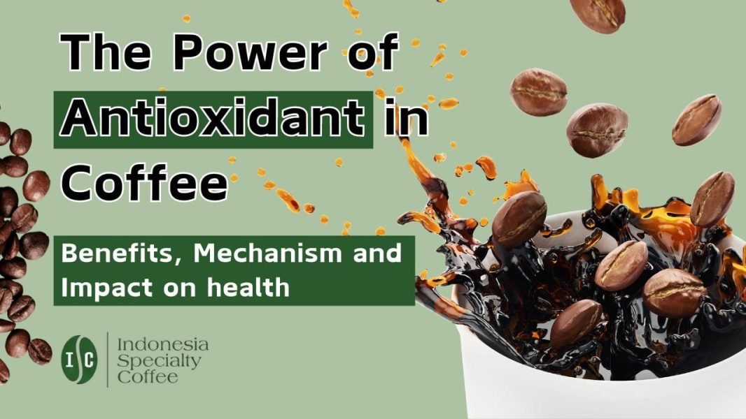 The Power of Antioxidant in Coffee