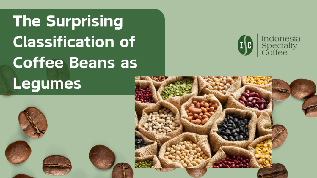 The Surprising Classification of Coffee Beans as Legumes