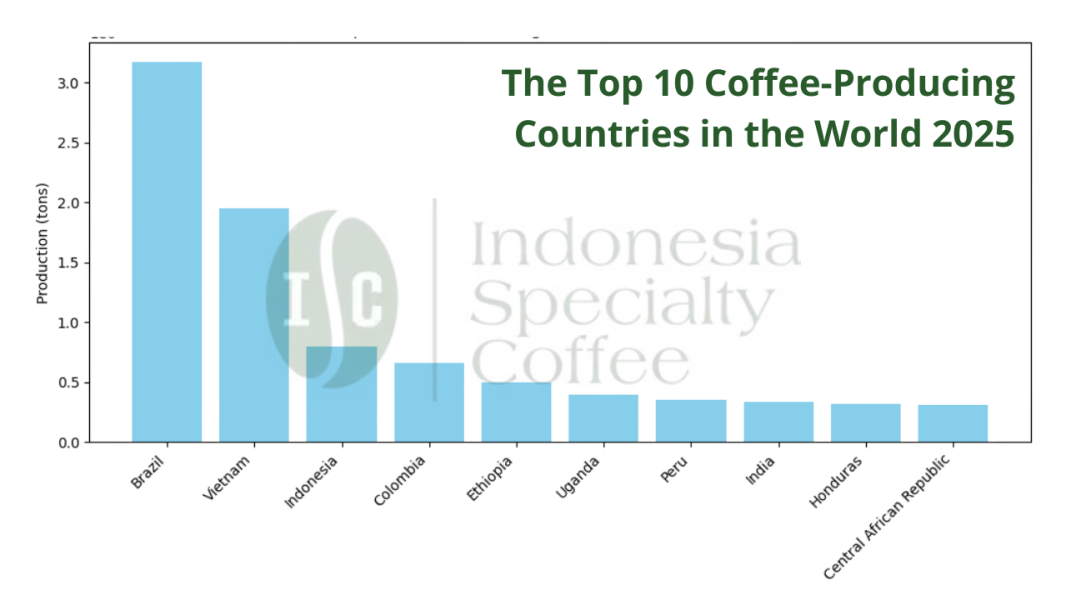 The Top 10 Coffee-Producing Countries in the World 2025