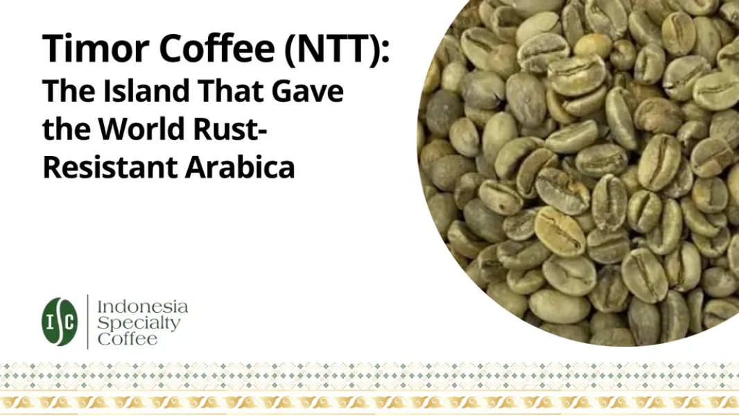 Timor Coffee (NTT) The Island That Gave the World Rust-Resistant Arabica