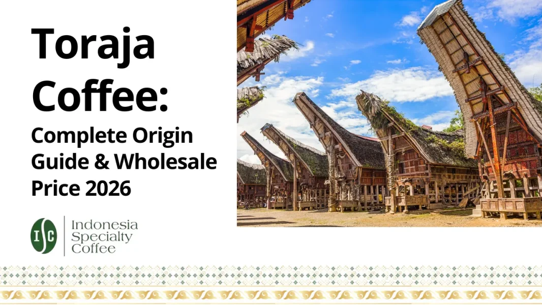 Toraja Coffee Complete Origin Guide & Wholesale Price 2026